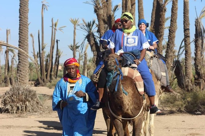 Camel Ride at Sunset From the Palm Grove - Good To Know
