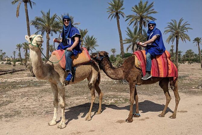 Camel Ride Experience in the Desert of Marrakech - Good To Know
