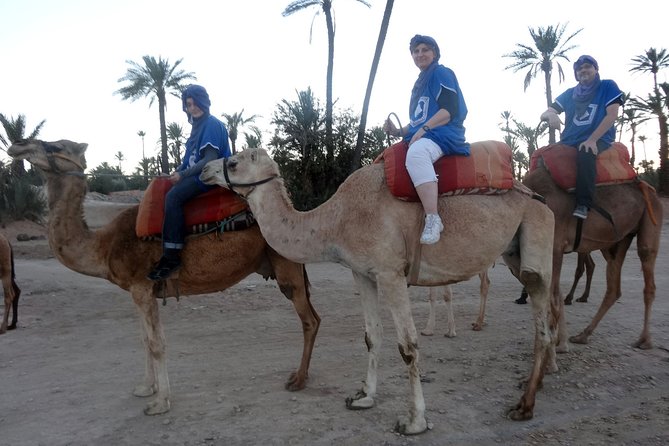 Camel Ride in Marrakech 2 Hours - Good To Know