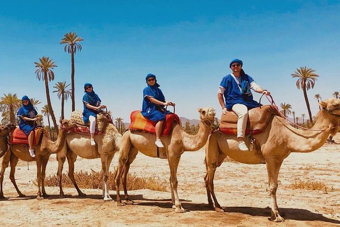 Camel Ride in Marrakech - Good To Know