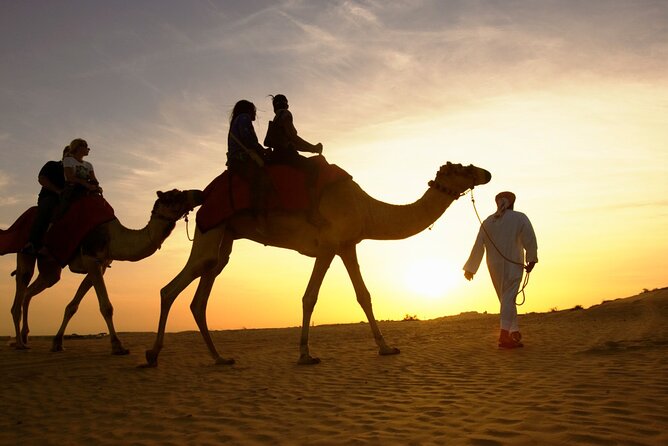 Camel Riding and Bedouin Dinner and Stargazer From Sharm El Sheikh - Good To Know