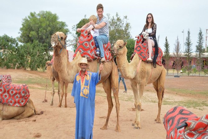 Camel Riding in Agadir for Cruise Ship Passengers - Good To Know