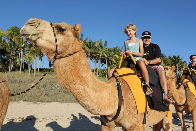Camel Riding In Agadir