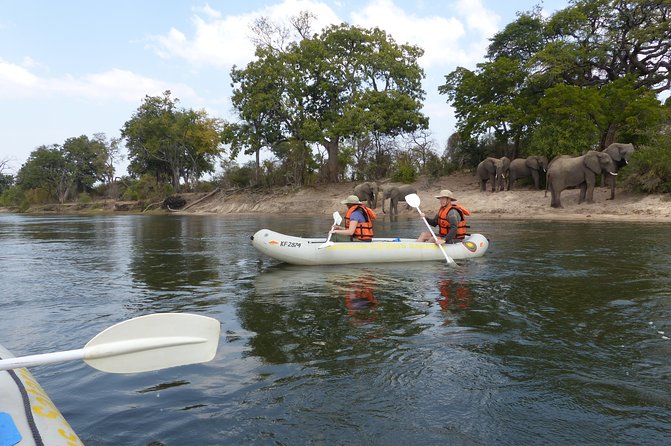 Canoeing With Wildlife Sightings - Good To Know