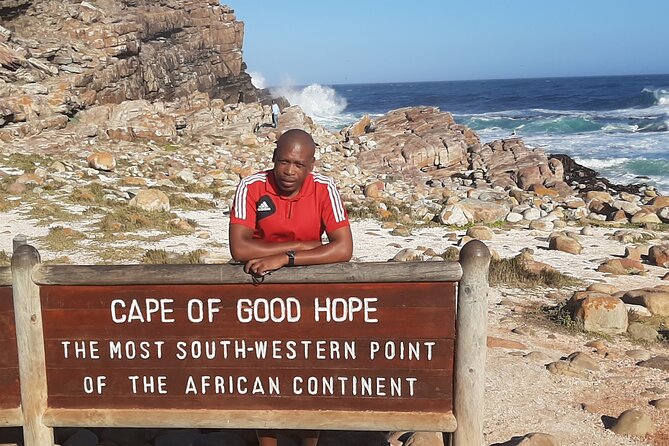 Cape of Good Hope, Penguins and Sightseeing Tour Small Group