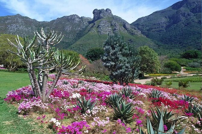 Cape Town - Kirstenbosch Botanic Gardens and City Tour - Good To Know