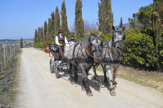 Carriage Ride and Lunch in a Typical Restaurant in the Heart of Chianti - Good To Know