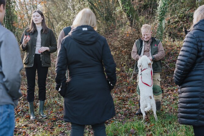 Castelfiorentino Truffle Hunting and Tasting Experience - Private Transportation Details