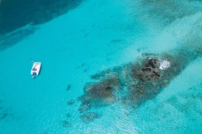 Catamaran Sailing Tour and Whale Watching in Boa Vista - Good To Know