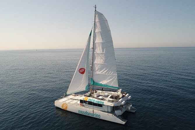Catamaran Tour With Swimming Stop in Malaga - Good To Know