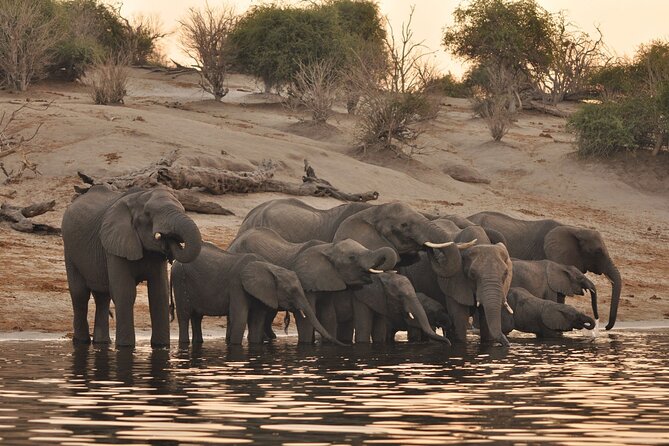 Chobe Day Trip - Good To Know