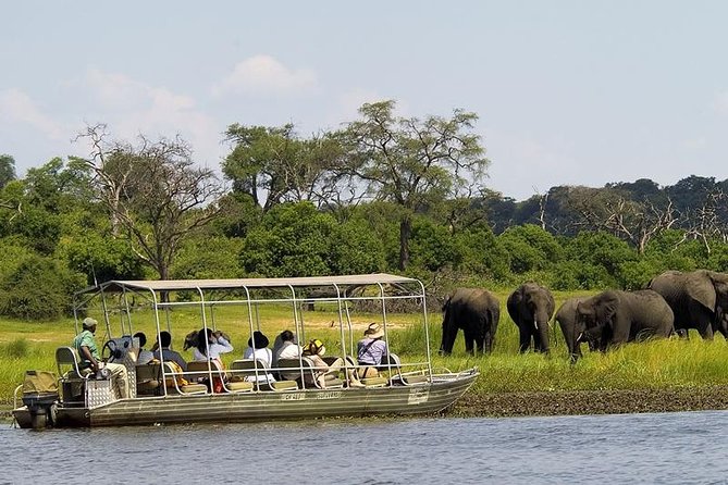 Chobe Day Trip From Livingstone - Good To Know