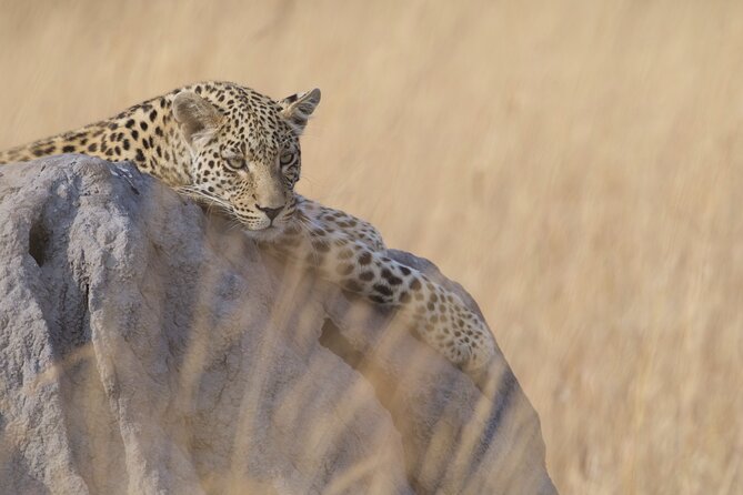 Chobe Extended Day Trip From Victoria Falls - Small Group - Good To Know