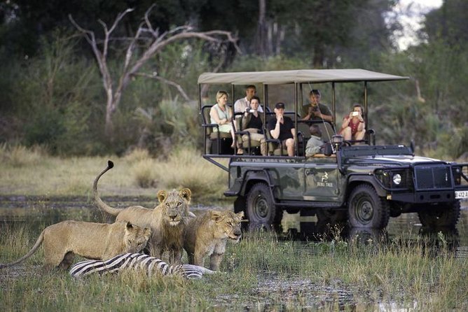 Chobe Extended Day Trip From Victoria Falls - Zimbabwe - Good To Know