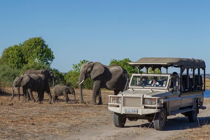Chobe Full Day Safari With Victoria Falls Sunrise Tour Combo - Good To Know