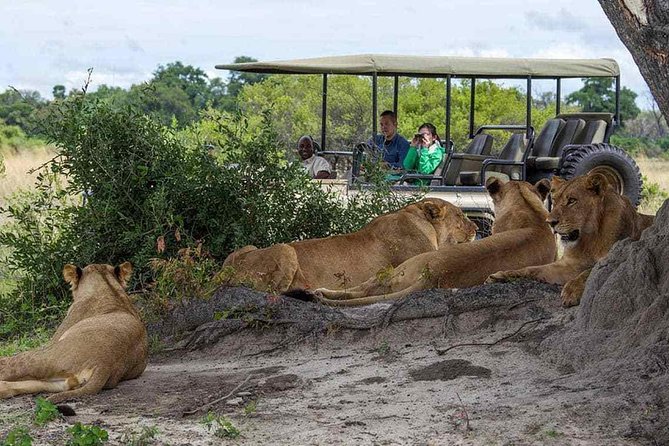 Chobe Full Day Trip From Victoria Falls