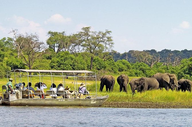 Chobe National Park Day Trip From Victoria Falls - Good To Know