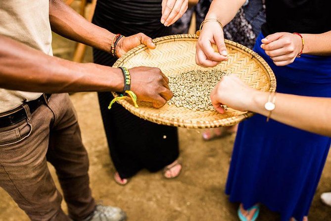 Coffee Tour Experience From Arusha - Good To Know