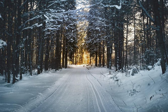 CROSS-COUNTRY SKIING: Winter Trip to Bohemia Mountains - Good To Know