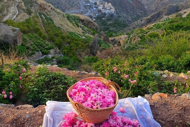 Damascus Roses – Discover the Secrets of Al Jabal Al Akhdhar