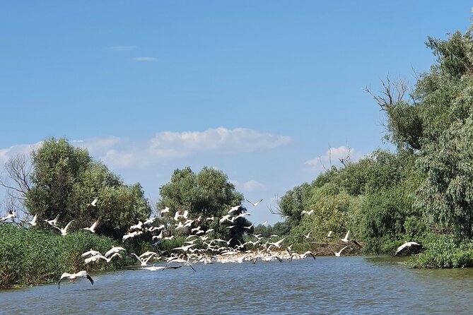 Danube Delta Private Day Trip From Bucharest - Inclusions