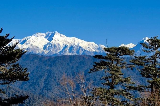 Darjeeling Tonglu - Tumling Day Trek - Good To Know