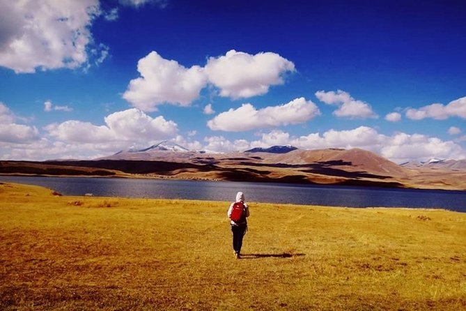 Dashbashi Canyon, Paravani and Sagamo Lakes Day Tour - Good To Know