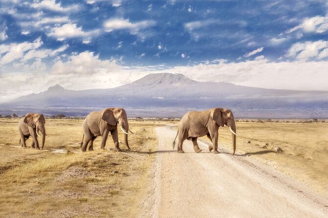 Day Tour to Amboseli National Park - Good To Know