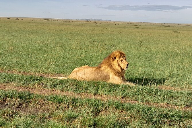 Day Tour To Amboseli National Park From Nairobi - Good To Know