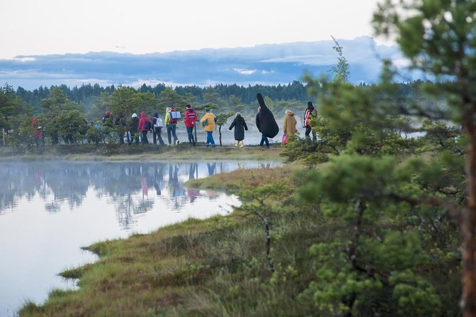 Day Tour to Magical Bog Shoe Walking Tour - Good To Know