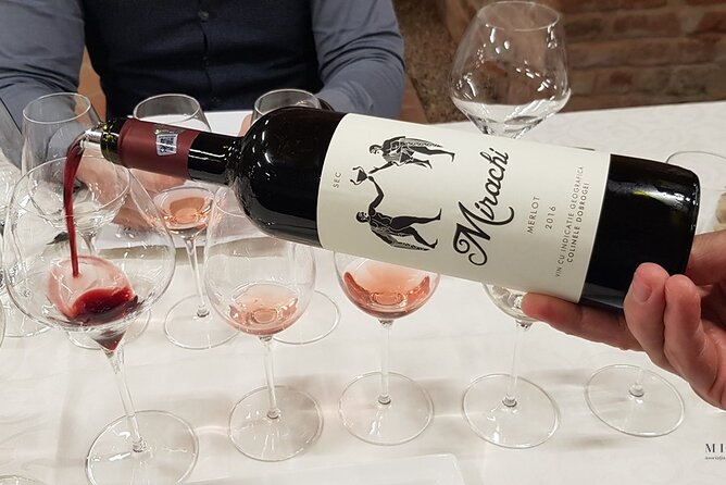 Day Tour: Visit Histria Winery and Ancient Citadel
