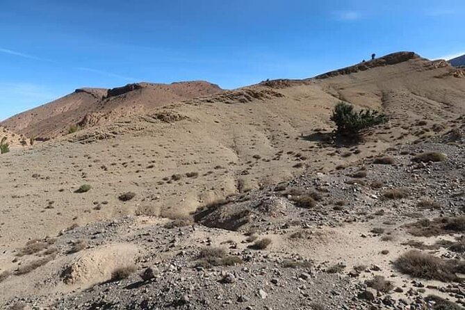 Day Trip From Marrakech to Atlas - Good To Know