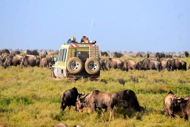 Day Trip Ngorongoro Crater - Cancellation Policy