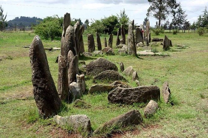 Day Trip to Adadi Mariyam, Tiya and Melka Kunture - Good To Know