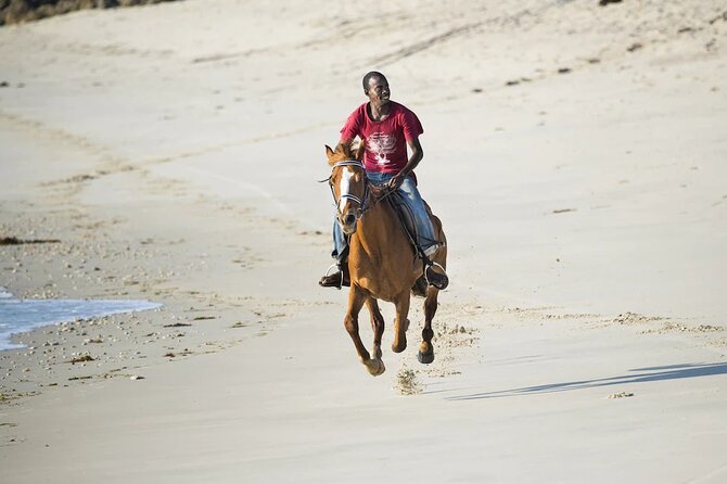Day Trip to Dar Es Salaam Zoo & Horse Riding Tour - Good To Know