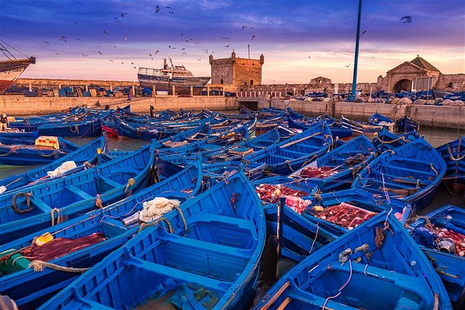 Day Trip to Essaouira Mogador and Argan Tress Forests - Transportation Details