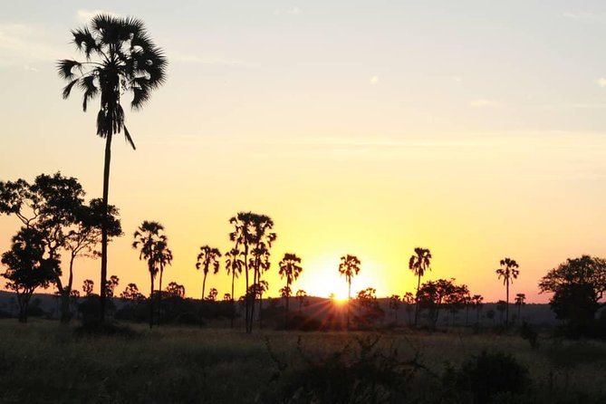 Day Trip To Ruaha National Park - Good To Know