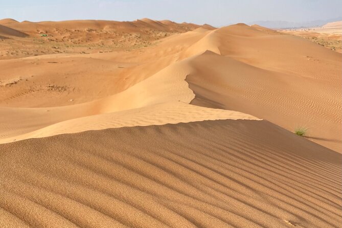 Desert Adventure With Off-Roading and Swimming in Wadi (Private). - Tour Highlights