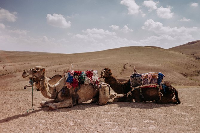 Desert Agafay & Atlas Mountains With Camel Ride Day Trip From Marrakech - Good To Know
