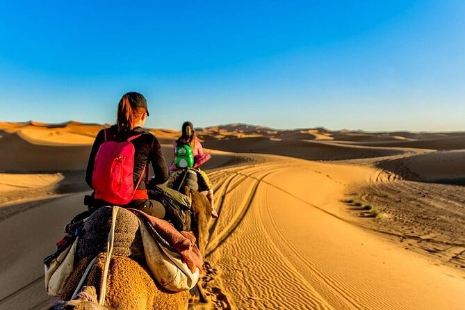 Desert Experience Mhamid 3 Days and 2 Nights From Marrakech - Itinerary Highlights