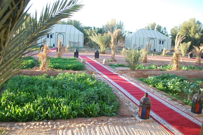 Desert Tour From Fes to Marrakech by Merzouga 3days 2nights Trip
