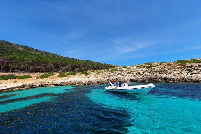 Dinghy Excursion to the Egadi Islands With Tasting on Board - Good To Know