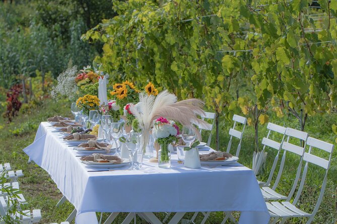 Dinner in the Vineyard Saint Tropez - Good To Know