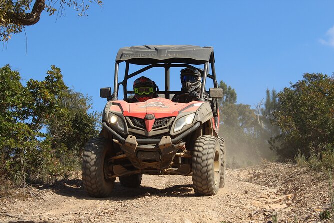 Dirt & Dust Buggy Tour