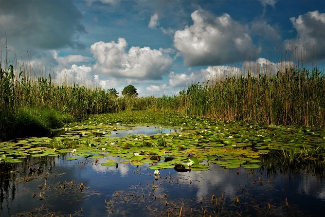 Discover Danube Delta From Bucharest - Private Tour for 5 Days - Tour Itinerary