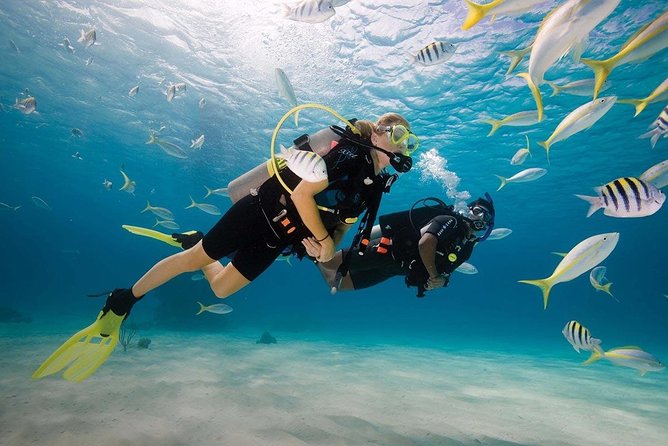 Discover Scuba Diving Experience - Whats Included