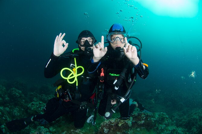 Discover Scuba Diving PADI – Trial Dive in Sorrento