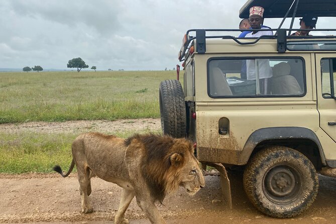 Discover the Beauty of Day Safari to Selous Game Reserve - Good To Know