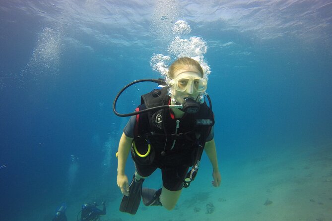 Discover the Depths: Aqabas Ultimate Private Dive Experience