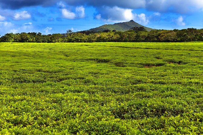 Discover the East of Mauritius: Full-Day All-Inclusive Tour (Visit to 3 Parks) - Good To Know